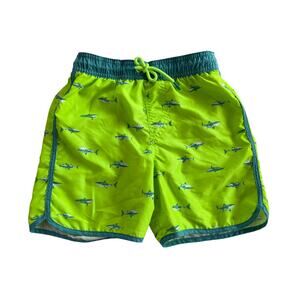 Cat & Jack Boy's Medium (8) Light Green and Teal Swimwear Shorts